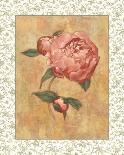 Pink Ophelia Topiary-Linda Hanly-Art Print