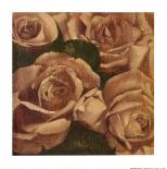 Rose Cluster I-Linda Hanly-Framed Art Print