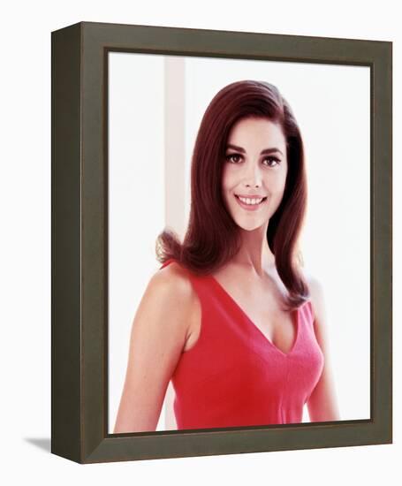 Linda Harrison-null-Framed Stretched Canvas