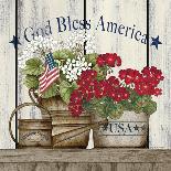Blessed Barn Star Wreath-Linda Spivey-Framed Art Print
