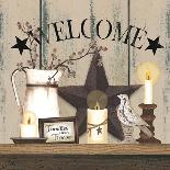 Barn Star Welcome-Linda Spivey-Art Print