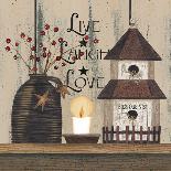 Blessed Barn Star Wreath-Linda Spivey-Framed Art Print