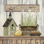 Barn Star Welcome-Linda Spivey-Framed Art Print