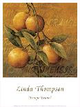 Golden Calla Lilies-Linda Thompson-Giclee Print