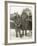 Lindberghs at New York-null-Framed Photographic Print