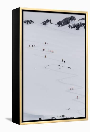 Lindblad Expeditions Guests from the National Geographic Explorer Hiking at Orne Harbor, Antarctica-Michael Nolan-Framed Premier Image Canvas