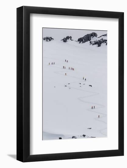 Lindblad Expeditions Guests from the National Geographic Explorer Hiking at Orne Harbor, Antarctica-Michael Nolan-Framed Photographic Print