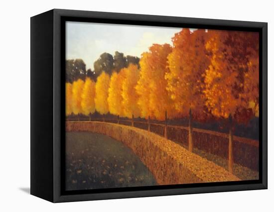 Linden Trees in Autumn-Max Hayslette-Framed Premier Image Canvas