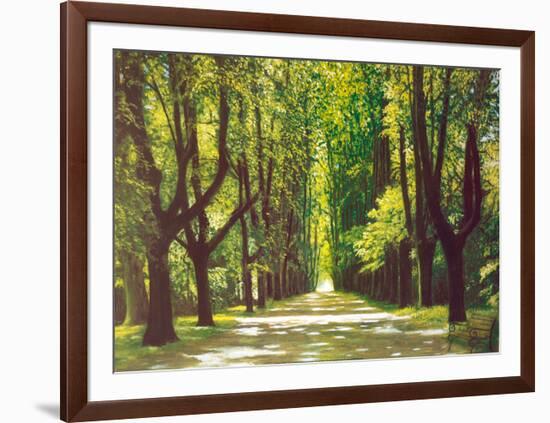 Lindenallee-Andreas Scholz-Framed Art Print