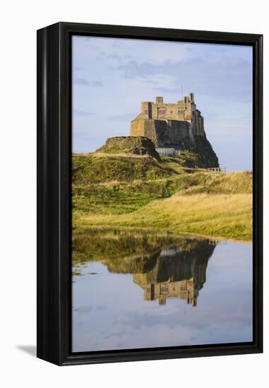 Lindisfarne Castle, Holy Island, Northumberland, England, United Kingdom, Europe-Gary Cook-Framed Premier Image Canvas