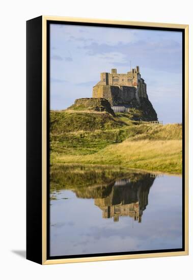 Lindisfarne Castle, Holy Island, Northumberland, England, United Kingdom, Europe-Gary Cook-Framed Premier Image Canvas