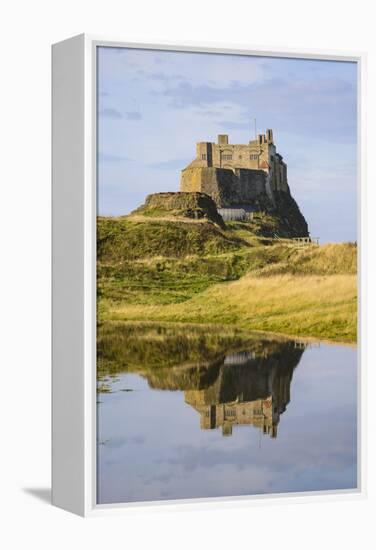 Lindisfarne Castle, Holy Island, Northumberland, England, United Kingdom, Europe-Gary Cook-Framed Premier Image Canvas