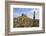 Lindisfarne Castle, Holy Island, Northumberland, England, United Kingdom, Europe-Gary Cook-Framed Photographic Print