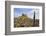 Lindisfarne Castle, Holy Island, Northumberland, England, United Kingdom, Europe-Gary Cook-Framed Photographic Print