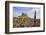 Lindisfarne Castle, Holy Island, Northumberland, England, United Kingdom, Europe-Gary Cook-Framed Photographic Print