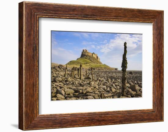 Lindisfarne Castle, Holy Island, Northumberland, England, United Kingdom, Europe-Gary Cook-Framed Photographic Print