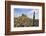 Lindisfarne Castle, Holy Island, Northumberland, England, United Kingdom, Europe-Gary Cook-Framed Photographic Print