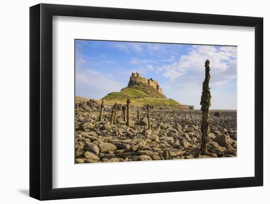 Lindisfarne Castle, Holy Island, Northumberland, England, United Kingdom, Europe-Gary Cook-Framed Photographic Print