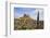 Lindisfarne Castle, Holy Island, Northumberland, England, United Kingdom, Europe-Gary Cook-Framed Photographic Print