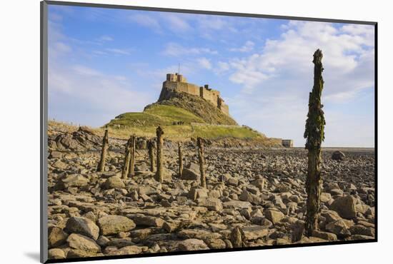 Lindisfarne Castle, Holy Island, Northumberland, England, United Kingdom, Europe-Gary Cook-Mounted Photographic Print