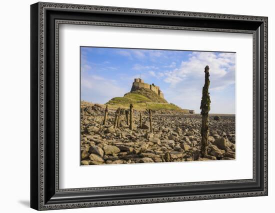 Lindisfarne Castle, Holy Island, Northumberland, England, United Kingdom, Europe-Gary Cook-Framed Photographic Print