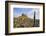 Lindisfarne Castle, Holy Island, Northumberland, England, United Kingdom, Europe-Gary Cook-Framed Photographic Print