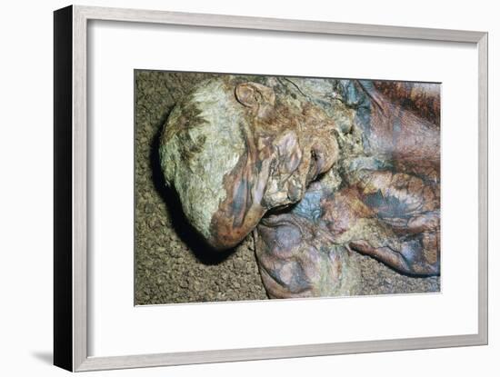 Lindow Man, found in a peat moss bog in Ireland, c2nd century BC. Artist: Unknown-Unknown-Framed Giclee Print