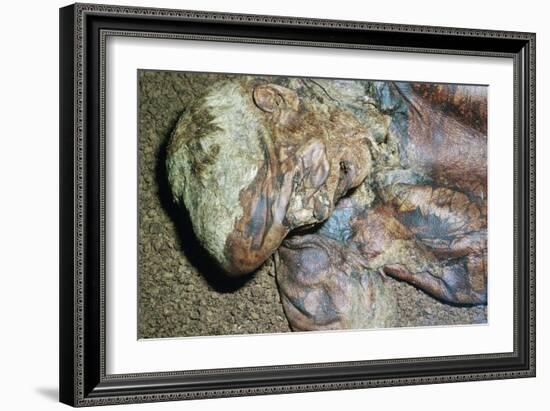 Lindow Man, found in a peat moss bog in Ireland, c2nd century BC. Artist: Unknown-Unknown-Framed Giclee Print