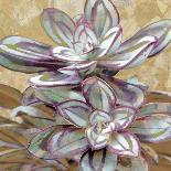 Succulent III-Lindsay Benson-Framed Art Print