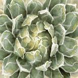Succulent Verde IV-Lindsay Benson-Framed Art Print