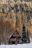 A Cozy Cabin In The Woods-Lindsay Daniels-Photographic Print