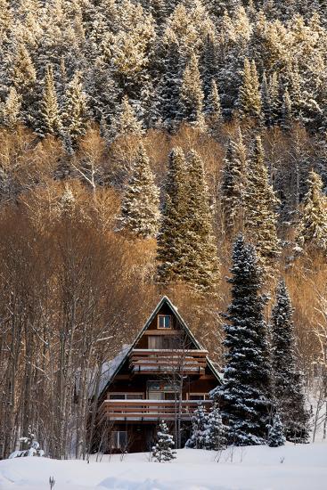 Photographic Print, , large