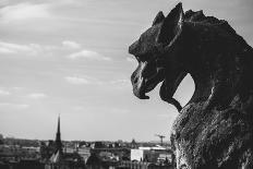 Gargoyle On Top Of Notre Dame In Paris-Lindsay Daniels-Photographic Print