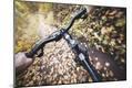 Premium Photographic Print