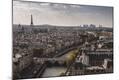 Photographic Print