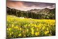 Premium Photographic Print
