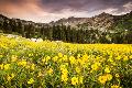 Premium Photographic Print