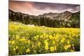 Photographic Print