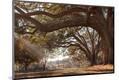 Photographic Print