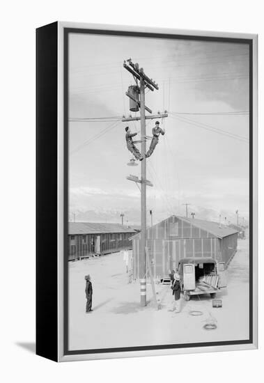 Line Crew at Work in Manzanar-Ansel Adams-Framed Stretched Canvas