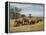 Line of African Elephants (Loxodonta Africana), Samburu National Reserve, Kenya, East Africa-James Hager-Framed Premier Image Canvas