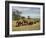 Line of African Elephants (Loxodonta Africana), Samburu National Reserve, Kenya, East Africa-James Hager-Framed Photographic Print