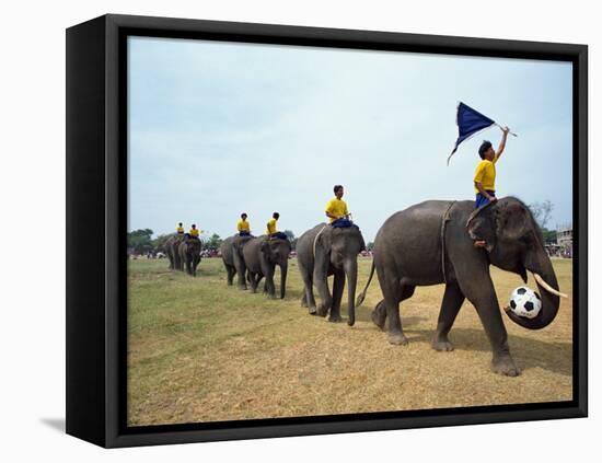 Line of Elephants in a Soccer Team During November Elephant Round-Up Festival, Surin City, Thailand-Alain Evrard-Framed Premier Image Canvas