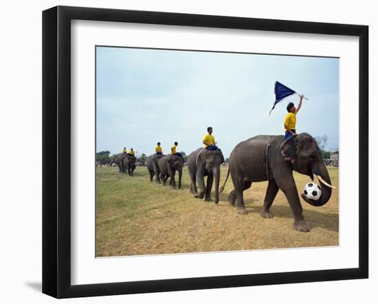 Line of Elephants in a Soccer Team During November Elephant Round-Up Festival, Surin City, Thailand-Alain Evrard-Framed Photographic Print