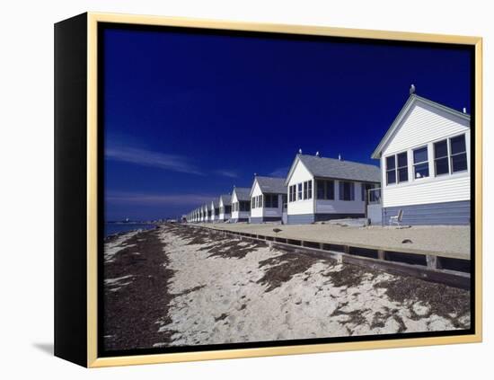 Line of Ocean Front Cottages, Cape Cod-Gary D^ Ercole-Framed Premier Image Canvas