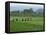 Line of People Planting Rice, Working the Rice Fields Near Madurai, Tamil Nadu, India-Robert Harding-Framed Premier Image Canvas