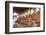 Line of Seated Buddhas at the Maha Bodhi Ta Htaung Monastery, Sagaing Division, Myanmar (Burma)-Annie Owen-Framed Photographic Print