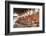 Line of Seated Buddhas at the Maha Bodhi Ta Htaung Monastery, Sagaing Division, Myanmar (Burma)-Annie Owen-Framed Photographic Print