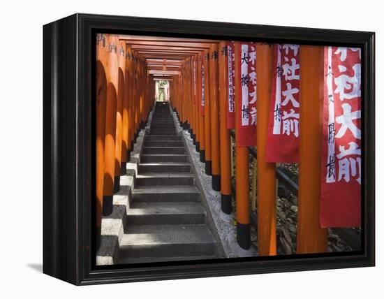 Line of torii gates at Hie Shrine-Jonathan Hicks-Framed Premier Image Canvas