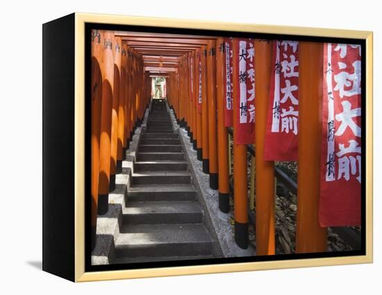 Line of torii gates at Hie Shrine-Jonathan Hicks-Framed Premier Image Canvas